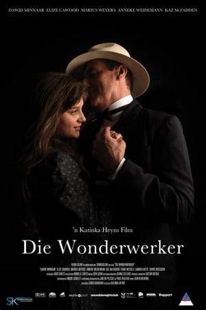Poster Die Wonderwerker 2012