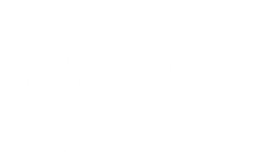 성실한 나라의 앨리스 — Logos 2