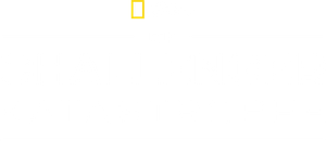 O Desastre do Challenger — Logos 3