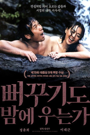 Shall Cuckoo Sing at Night 9