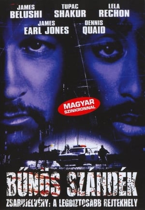 Poster Bűnös szándék 1997