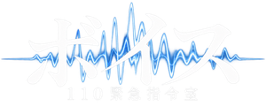 Voice