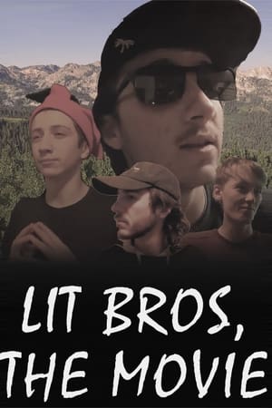 Poster They're Lit, But Are They Bros? 