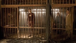 The Flash: Season 3 Episode 13