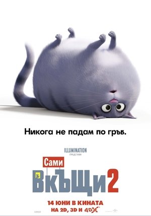 <Images posters