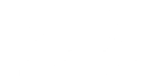 Batman: Caped Crusader — Logos 8