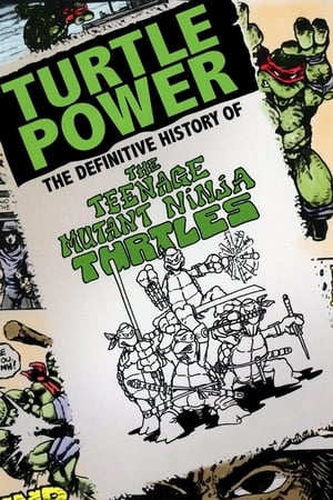 Poster Turtle Power - The Definitive History of the Teenage Mutant Ninja Turtles 2014