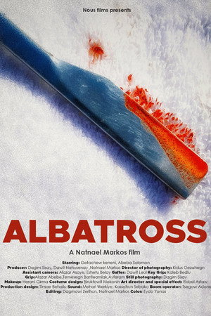 Albatross 3