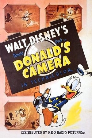 Poster Donald's Camera (1941)