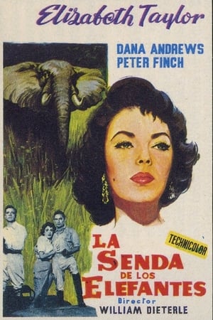 Poster La Senda De Los Elefantes 1954