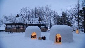 Journeys in Japan: 11×7