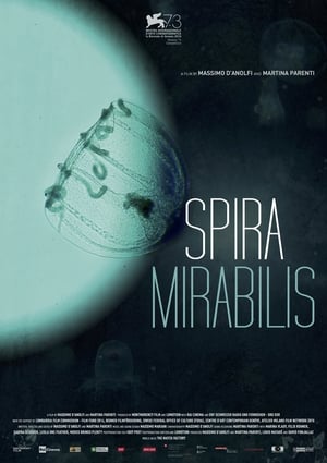 Poster Miraculous Spiral (2016)