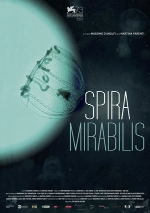 Poster Miraculous Spiral 2016