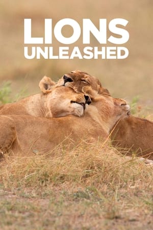 Poster Lions Unleashed 2017