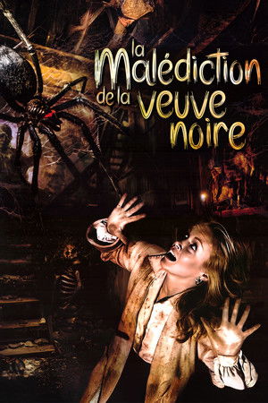 Image La Malédiction de la veuve noire
