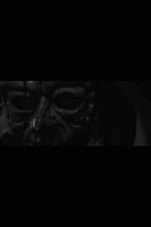 I’ve Been Accepted