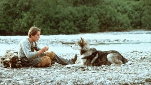 Wolfsblut (1991)