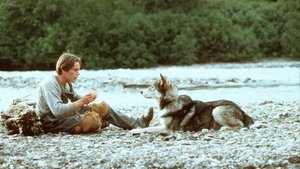 مشاهدة فيلم White Fang 1991 مترجم – مدبلج