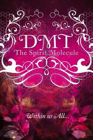 Image DMT: The Spirit Molecule