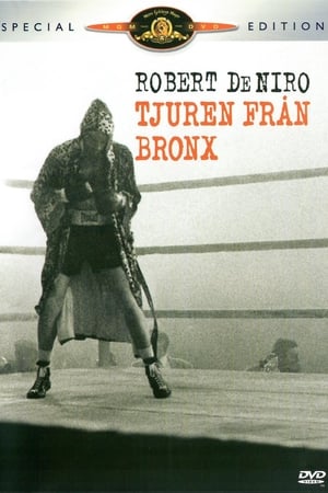 Tjuren från Bronx 1980