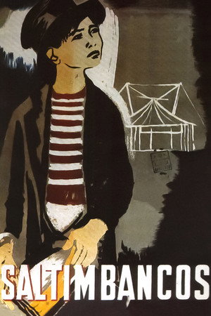 The Circus 7