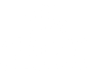 C.H.U.E.C.O — Logos 3