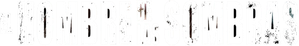 El hombre de las sombras
