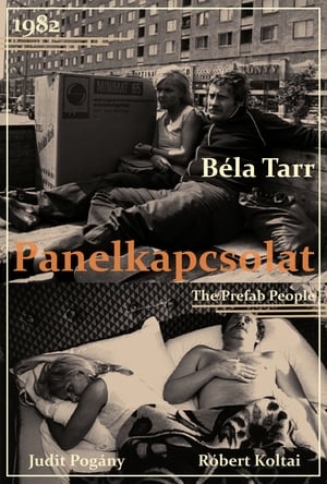 Poster Panelkapcsolat 1982