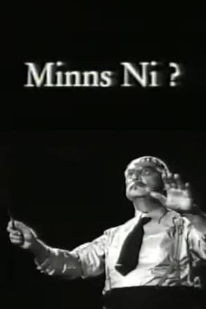 Minns ni? 1993