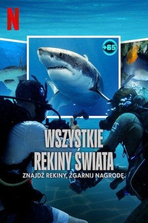 Image Wszystkie rekiny świata