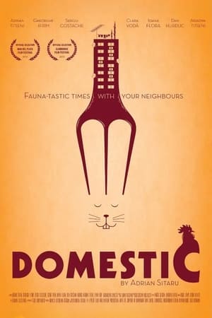 Domestic poster