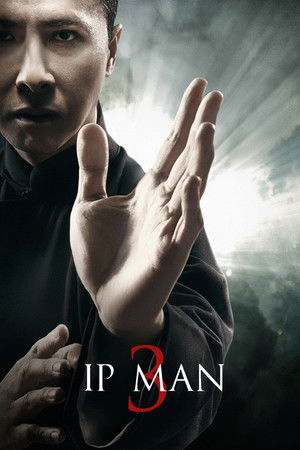 افلام اسيوية: Ip Man 3