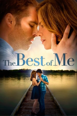 Poster The Best of Me 2014