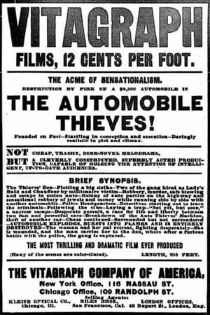 The Automobile Thieves poster