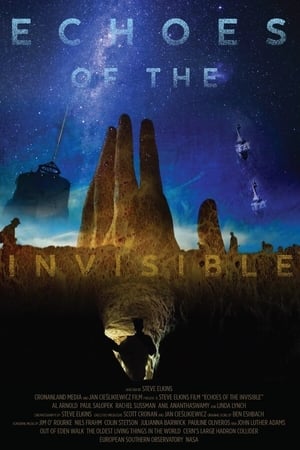 Poster Echoes of the Invisible (2021)
