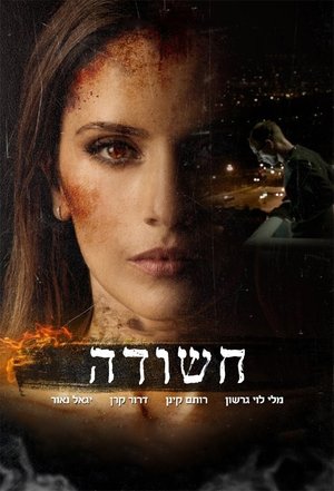 Poster חשודה 2015