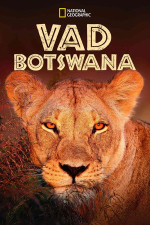 Wild Botswana 27