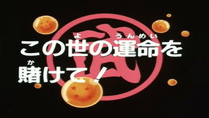 Dragon Ball - Dragon Ball - Saison 1 - Pour l'avenir du monde - image n°1