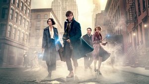 Fantastic Beasts and Where to Find Them film complet