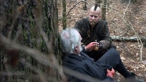 Salem 1 x 8