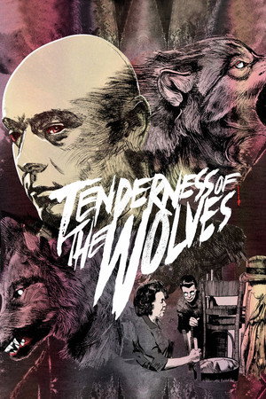 Tenderness of the Wolves