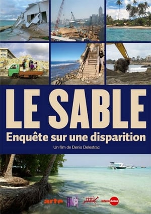 Poster Le sable - Enquête sur une disparition 2013