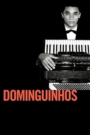 Poster Dominguinhos 2014