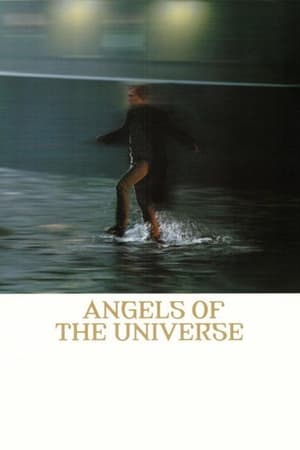 Poster Angels of the Universe 2000