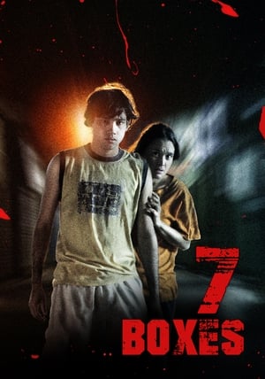 Poster 7 Boxes (2012)