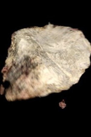 Image HIDE