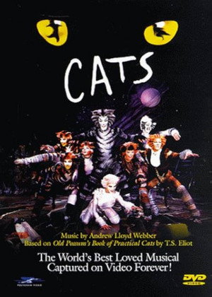 Cats 30