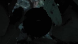Episodio 33
