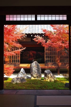 京都红叶夜