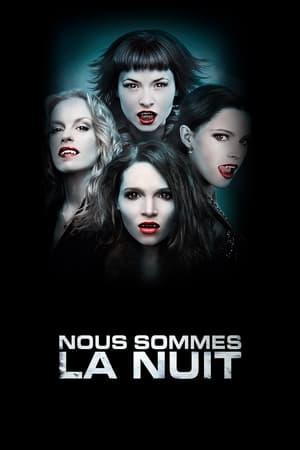 Poster Nous sommes la nuit 2010